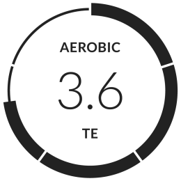 Training Effect: Aerobic
