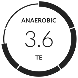 Training Effect: Anaerobic
